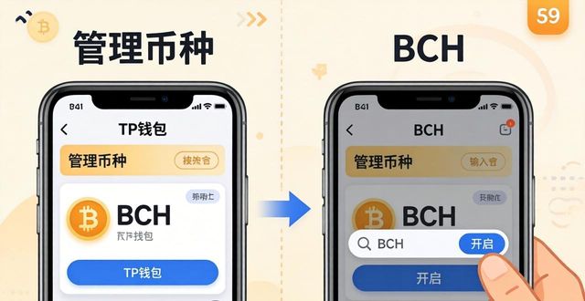 TP钱包BCH操作指南